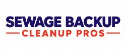 Sewage Cleanup Team